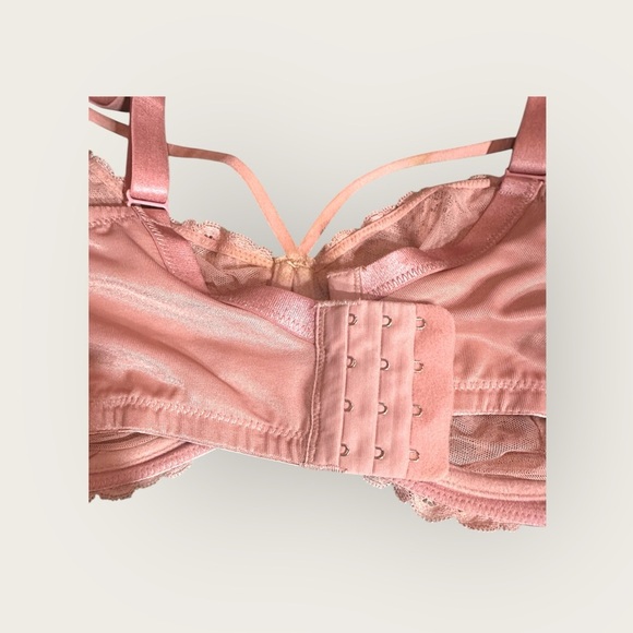 HSIA Pretty In Petals Lace Bra – Size 40DD, Light Coral - Picture 5 of 9